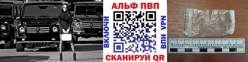A PVP СК  Можга 