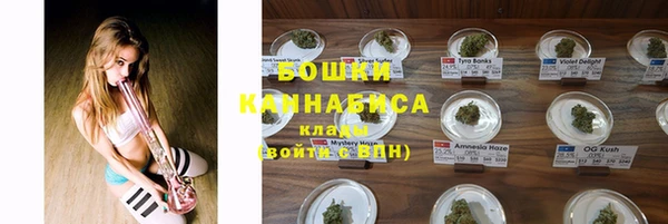 спиды Арсеньев