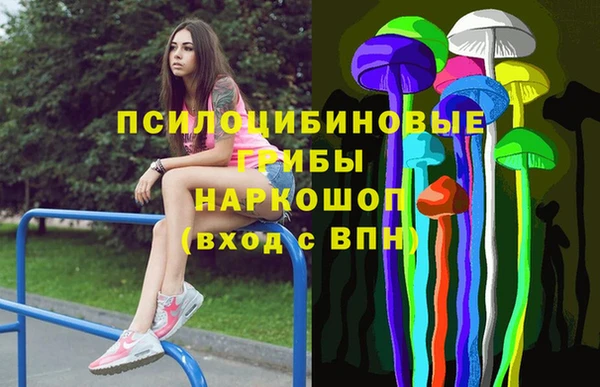 спиды Арсеньев