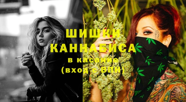 индика Аркадак