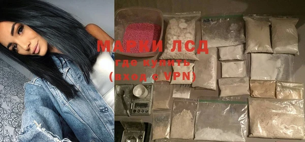 индика Аркадак