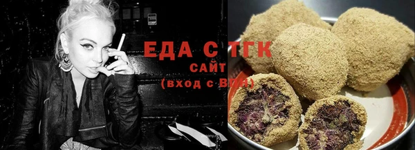 индика Аркадак