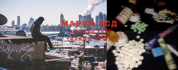индика Аркадак